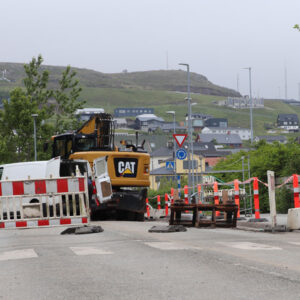 Skeiði – Vegurin sum arbeiðsøki (skeltiskeið)